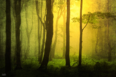Photographie intitulée "Echoes from light" par Janek Sedlar, Œuvre d'art originale, Photographie numérique
