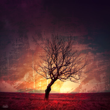 Photographie intitulée "Guardian of the sou…" par Janek Sedlar, Œuvre d'art originale, Photographie numérique