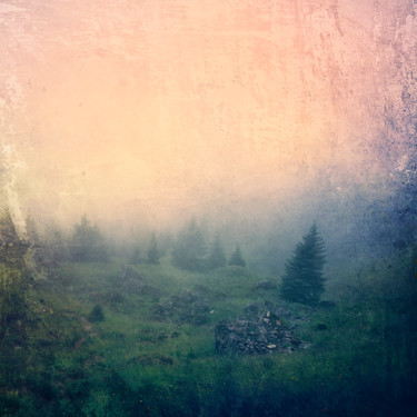 Photographie intitulée "Calmness of the lan…" par Janek Sedlar, Œuvre d'art originale, Photographie numérique