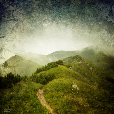 Photographie intitulée "Wandering" par Janek Sedlar, Œuvre d'art originale, Photographie numérique
