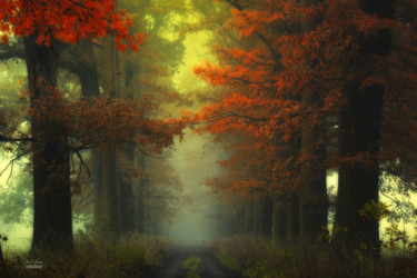 The Heailing path of Wakan Tanka Photographie intitulée "The Heailing path o…" par Janek Sedlar, Œuvre d'art originale