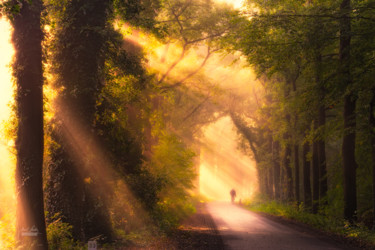 Photographie intitulée "Morning with master…" par Janek Sedlar, Œuvre d'art originale