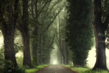 Photographie intitulée "Tunnel of inner cal…" par Janek Sedlar, Œuvre d'art originale