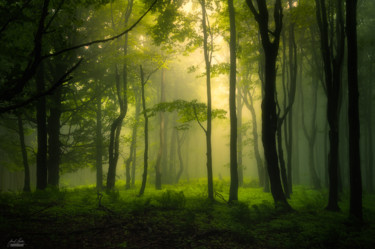 Photographie intitulée "When the light came…" par Janek Sedlar, Œuvre d'art originale
