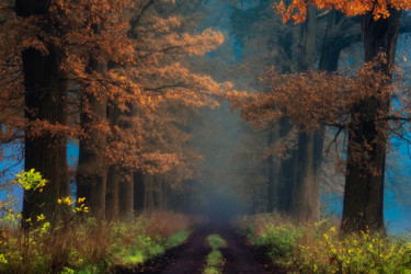 Shamans road on the other side Photographie intitulée "Shamans road on the…" par Janek Sedlar, Œuvre d'art originale