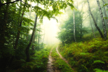 Photographie intitulée "When your road heal…" par Janek Sedlar, Œuvre d'art originale