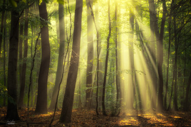 When the sun touch your heart Photographie intitulée "When the sun touch…" par Janek Sedlar, Œuvre d'art originale