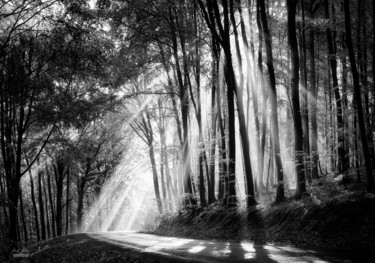 Photographie intitulée "Morning sign of the…" par Janek Sedlar, Œuvre d'art originale