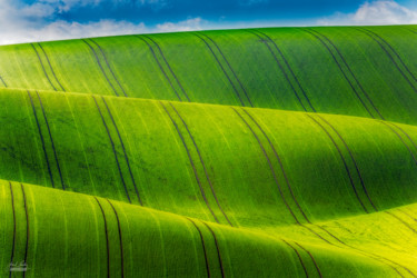 Possitive waves Photographie intitulée "Possitive waves" par Janek Sedlar, Œuvre d'art originale