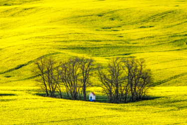 Photographie intitulée "Sacred fields" par Janek Sedlar, Œuvre d'art originale