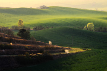 Spring in moravia Photographie intitulée "Spring in moravia" par Janek Sedlar, Œuvre d'art originale