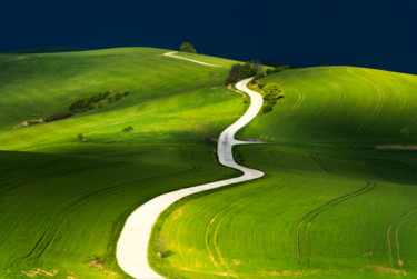 Photographie intitulée "Path of life" par Janek Sedlar, Œuvre d'art originale