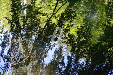 Photographie intitulée "Reflet 2" par Renaud Klumpp, Œuvre d'art originale, Photographie numérique
