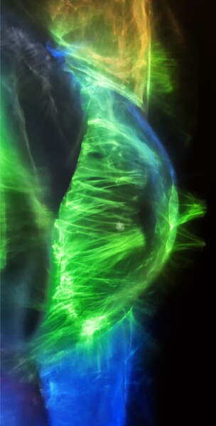 Photographie intitulée "Sein végétal de la…" par Rachèd Zarraï Miladi (Le mutagraphe), Œuvre d'art originale, Photographie n…