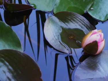 Photographie intitulée "Douceur et Volupté" par Monique Anna Michel, Œuvre d'art originale