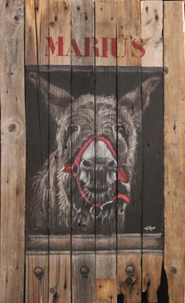Peinture intitulée "Marius propriétaire" par Elisabeth Begot, Œuvre d'art originale, Acrylique
