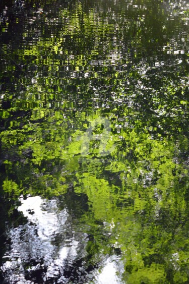 Photographie intitulée "Reflet 5" par Renaud Klumpp, Œuvre d'art originale, Photographie numérique