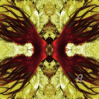 Bombetoka butterfly P.U. N°29