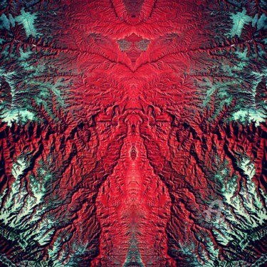 Ant's World P.U. N°28
