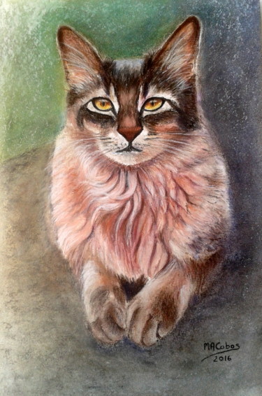 Dessin intitulée "Le Chat" par Marian Cobos, Œuvre d'art originale, Craie