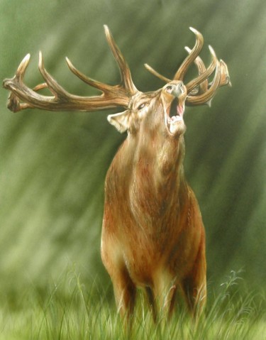 绘画 标题为“cerf-010.jpg” 由Frédéric Mauron, 原创艺术品, 喷枪