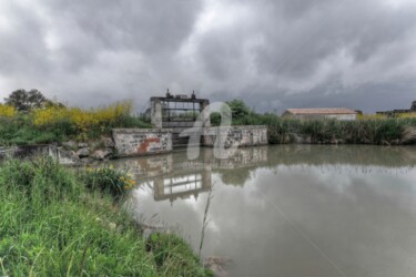 L'empellement du marais Poitevin... Photographie intitulée "L'empellement du ma…" par Chrisdaf, Œuvre d'art originale