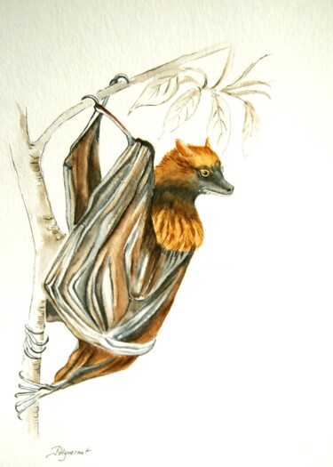 Malerei mit dem Titel "roussette (frugivor…" von Patricia Giroldini Hyvernat, Original-Kunstwerk, Aquarell