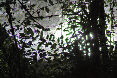 Photography titled "Contrejour" by Muriel Cayet, Original Artwork