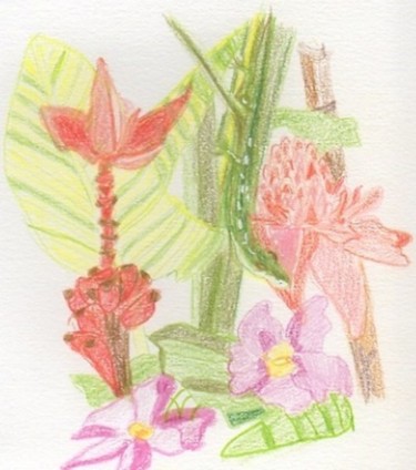 Dessin intitulée "dessin-fleur-tropic…" par Nadia Mardiguian, Œuvre d'art originale