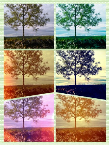 L'arbre