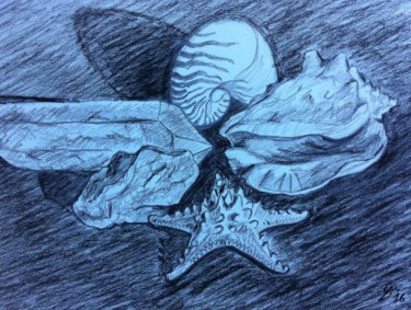 Disegno intitolato "Natura morta con co…" da Stefano Di Marco, Opera d'arte originale, Grafite