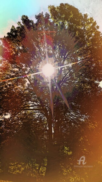 Photographie intitulée "JEUX DU SOLEIL" par Grafi, Œuvre d'art originale