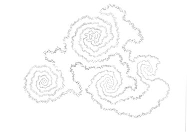 图画 标题为“Spirals” 由Efrem Favetta, 原创艺术品, 圆珠笔