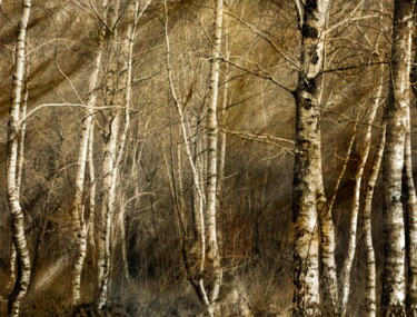 Photography titled "FUNERAILLES........" by Philippe Berthier, Original Artwork, Digital Photography