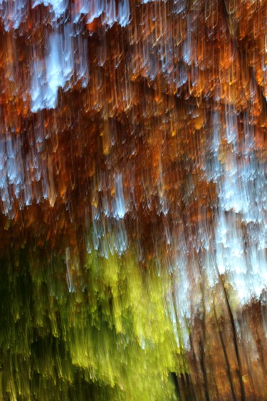 Fotografie mit dem Titel "Forêt de cristaux" von François Tondeur, Original-Kunstwerk