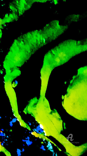 Photographie intitulée "GREEN DREAM" par Grafi, Œuvre d'art originale