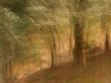 Le seigneur des Bois........................ Photography titled "Le seigneur des Boi…" by Philippe Berthier, Original Artwork, Digital Photography