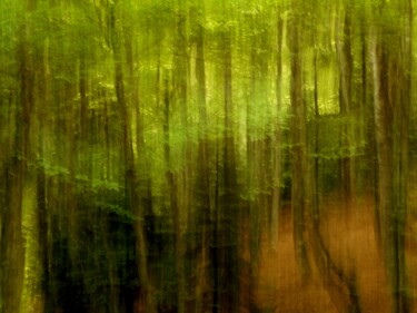 Photography titled "LA LIGNE VERTE.....…" by Philippe Berthier, Original Artwork, Digital Photography