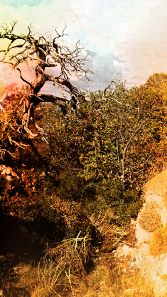 Photography titled "SWEET AUTOMN" by Grafi, Original Artwork