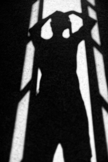 摄影 标题为“Valéry Trillaud aut…” 由Valery Trillaud, 原创艺术品
