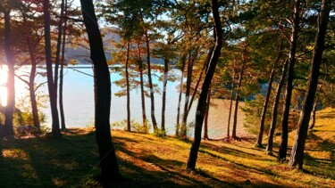 Photography titled "La baie de Chantelo…" by Anne D'Orion, Original Artwork