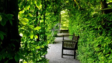 Photographie intitulée "Un banc de quiétude" par Anne D'Orion, Œuvre d'art originale