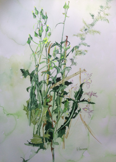 Peinture intitulée "DANDELION BUDS" par Rebecca De Figueiredo, Œuvre d'art originale, Aquarelle