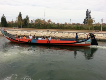 Moliceiro 5