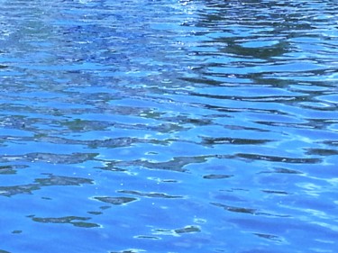 Le Grand Bleu (1)