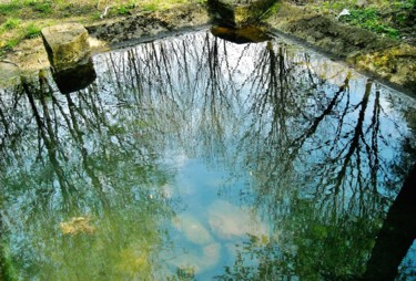 Reflets de lavoir 1