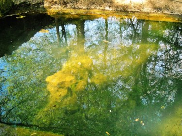 Reflets de lavoir 3