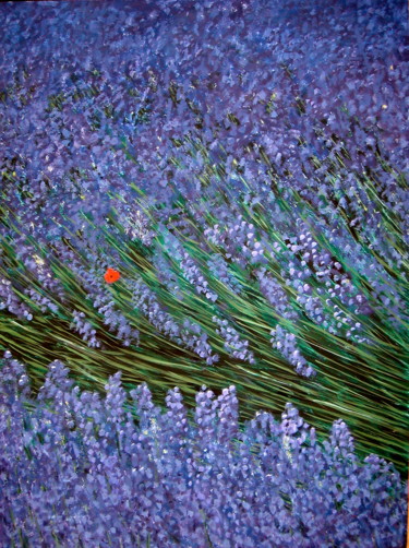 Painting titled "Pavot dans lavande" by Wolf Thiele, Original Artwork, Acrylic