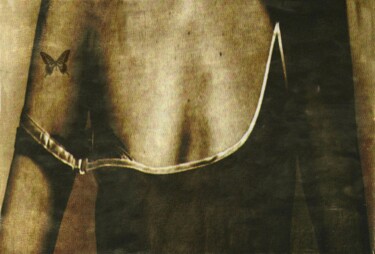 摄影 标题为“Papillon.........” 由Philippe Berthier, 原创艺术品, 数码摄影