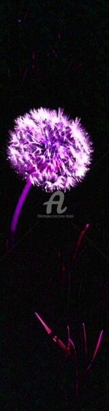 Luminescence florale